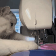 TacitWithNothingness