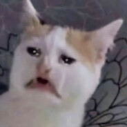 法官不解风情量刑不肯