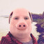 John Pork