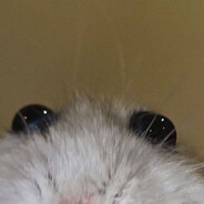 chupik