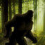 Bigfoot