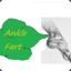 Ankle Fart