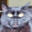 Cololonista99 Steam avatar