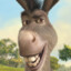 DONKEY