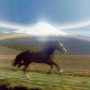 HorsesDon'tStopTheyKeepGoing