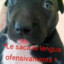 Lucho Portuano