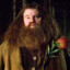 Rubeus Hagrid