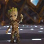Groot