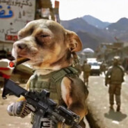 卖橘子的小秋天