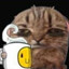 jani