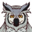 Aesir the Owl