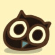 猫猫毛毛没有眉毛