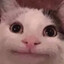 Blinkerz