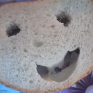 [PE] 161 / salliwan01