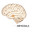 Amygdala