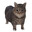 PumpkinKing1031