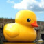 BubberDucky