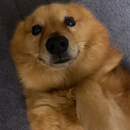 My Ak is better than yours:)