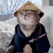 赛博丁真会梦到电子芙蓉王吗？