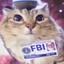 FBI cat