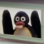 Mr_Pingu