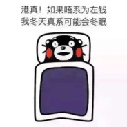 玩得好不如排的好