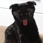 Teemo