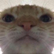 pokiMaiN