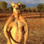 Kangaroo