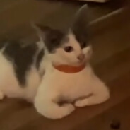 j a ..