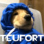 teufort employee