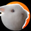 neyox_V