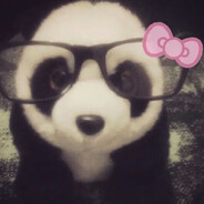 PandasLover911