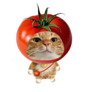 青春电子番茄不会梦到仿生西红柿