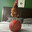 galo de basquete