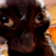 Bingseeker