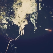 pale - steam id 76561197970374778