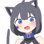 black cat