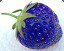 Bluefruit