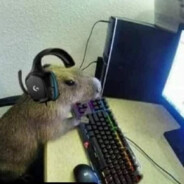 CAPIVARA GAMER 2011