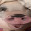 gay123