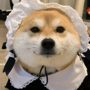 一条咚咚咚咚咚毛巾