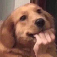 我总感觉不太对劲