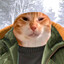 Nooblis