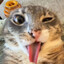 Avatar of player qwe