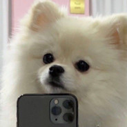 Bʀ̶ᴏ̶ᴋ̶ᴇ̶ɴ̶ 𓆡