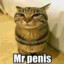 Mr.Penis