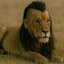 DIMA NEYMAR's avatar