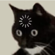 逻辑猫.exe已停止响应