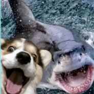 再见只能红着眼